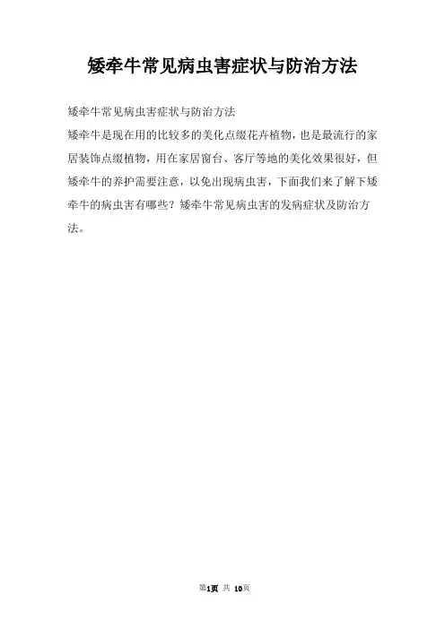 矮牵牛常见病虫害症状与防治方法