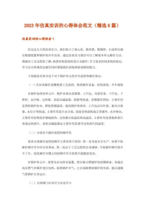 2023年仿真实训的心得体会范文（精选6篇）_1