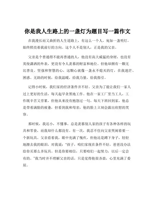 你是我人生路上的一盏灯为题目写一篇作文