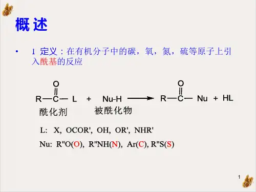 经济学酰化反应ppt