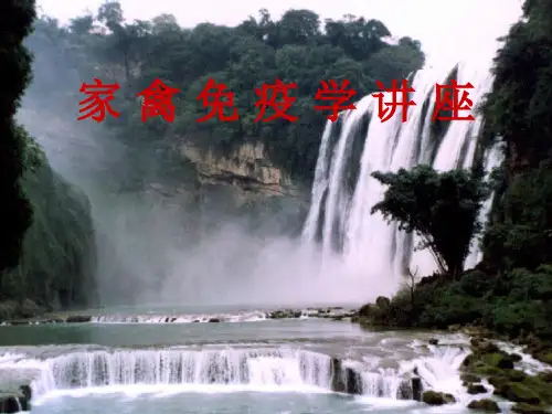 家禽免疫学基础课件