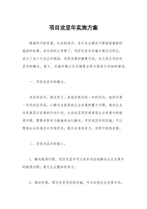 项目攻坚年实施方案