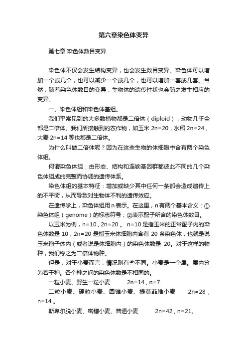 第六章染色体变异