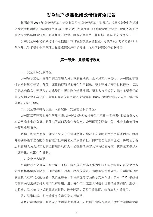 安全标准化绩效评定报告