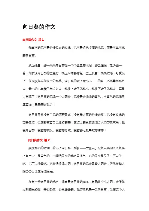 向日葵的作文