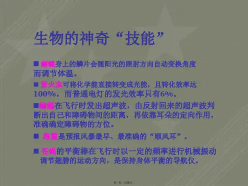 神奇的仿生学