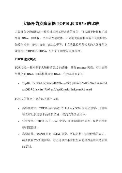 大肠杆菌克隆菌株TOP10和DH5α的比较