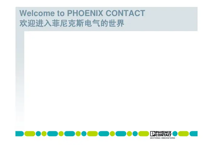 菲尼克斯公司介绍
