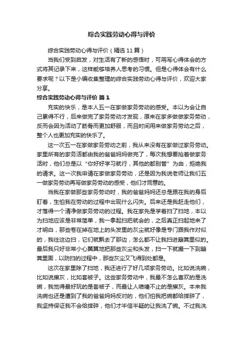 综合实践劳动心得与评价