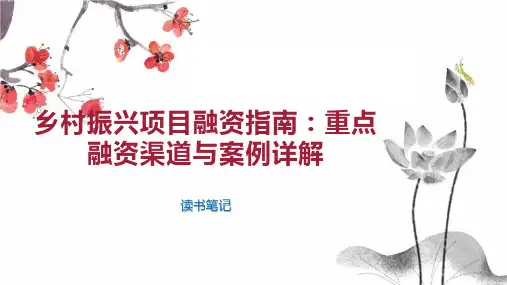 乡村振兴项目融资指南 重点融资渠道与案例详解