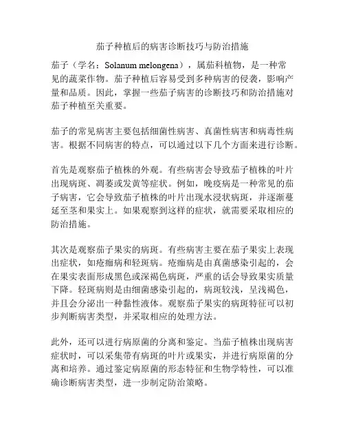 茄子种植后的病害诊断技巧与防治措施