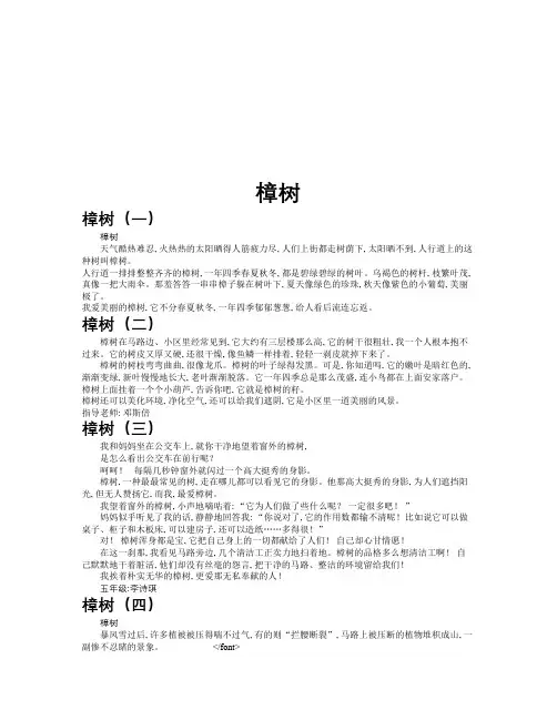 樟树作文共九篇