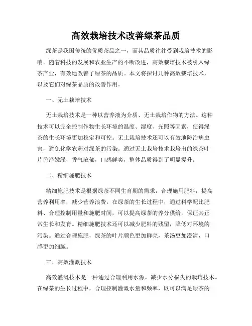 高效栽培技术改善绿茶品质