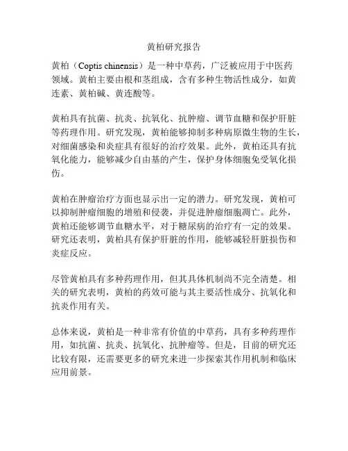 黄柏研究报告