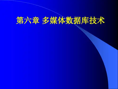 第6章 多媒体数据库技术.ppt
