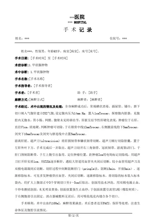 腹腔镜下不规则肝切除术手术记录