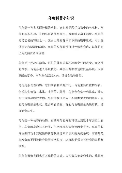 乌龟科普小知识