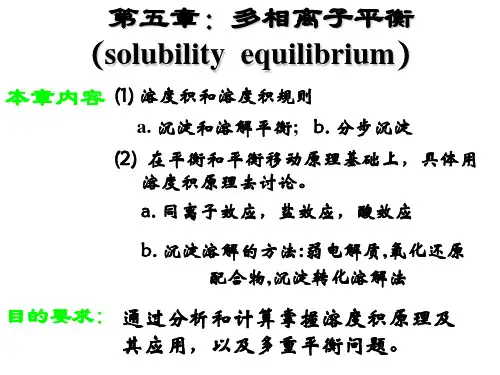 第五章多相离子平衡.