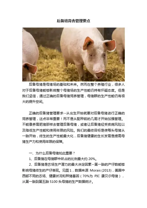 后备培育舍管理要点