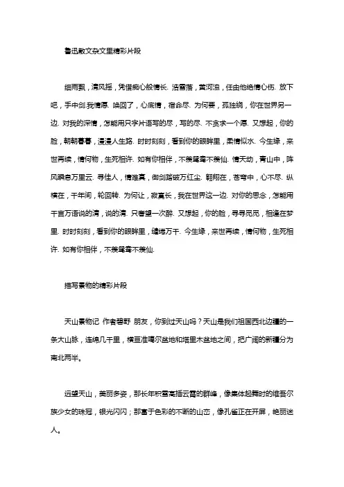 杂文片段 鲁迅杂文集精彩片段：鲁迅杂文集精彩片段