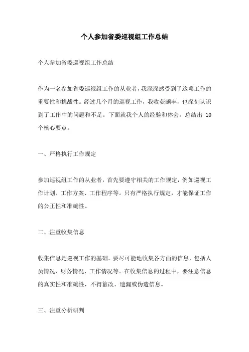 个人参加省委巡视组工作总结