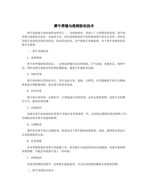 黄牛养殖与疫病防治技术