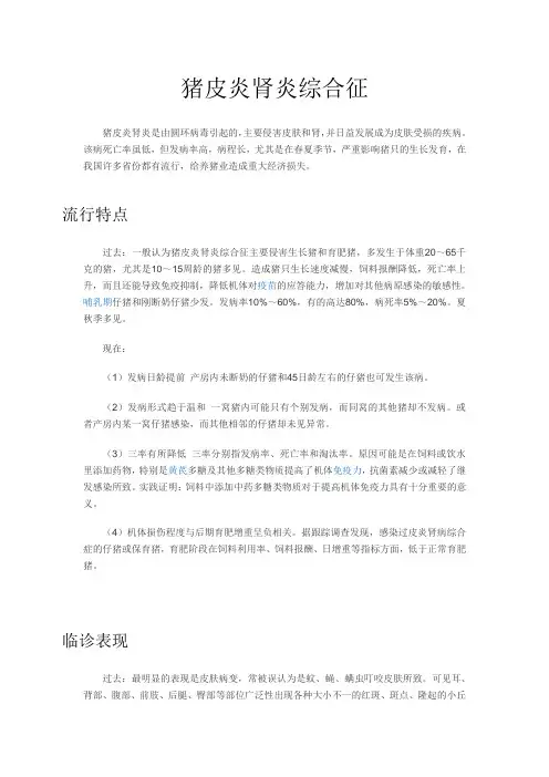 猪皮炎肾炎综合征 2