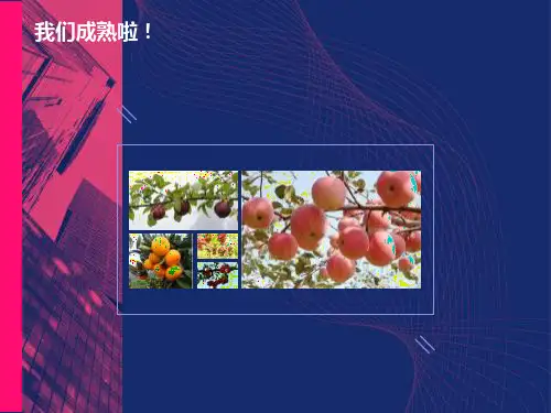 三年级下册24果园机器人