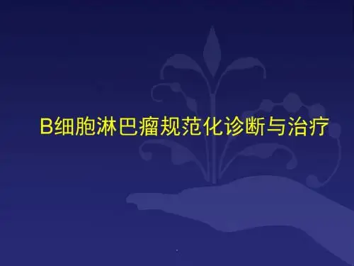 B细胞淋巴瘤规范化诊断与治疗PPT课件