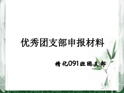 优秀团支部申报资料(ppt 20页)