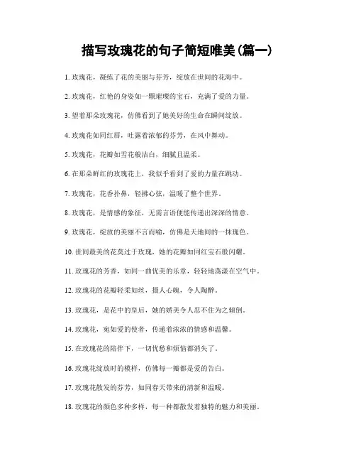 描写玫瑰花的句子简短唯美(精选2篇)