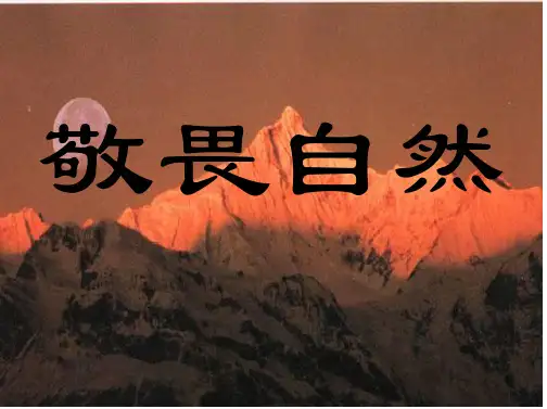 【优质】初中八年级语文下册《敬畏自然》  ppt教学课件