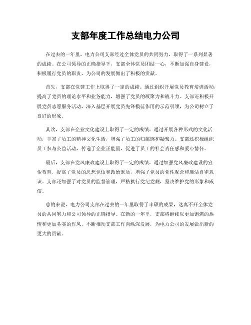 支部年度工作总结电力公司