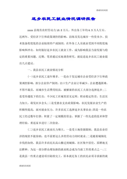 返乡农民工就业情况调研报告.doc