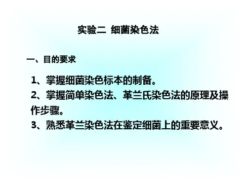 实验二、细菌染色法