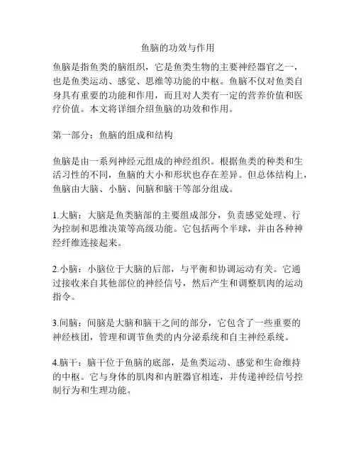鱼脑的功效与作用