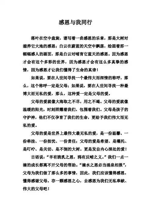 感恩与我同行