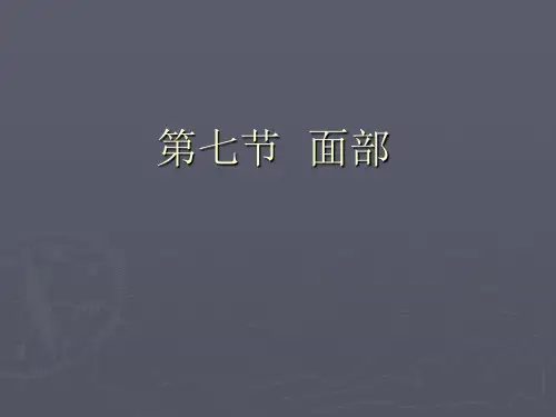 针推穴位应用解剖课件第七节 面部