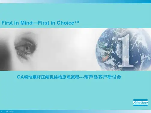 喷油螺杆原理(共19张PPT)