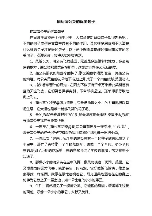 描写蒲公英的优美句子