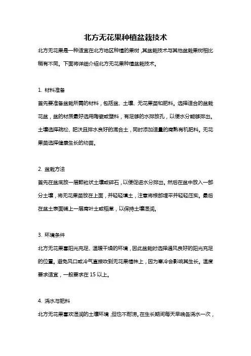 北方无花果种植盆栽技术