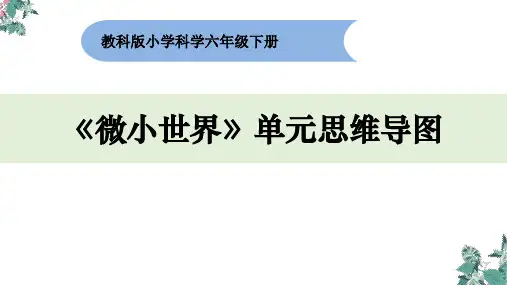 六年级下册科学课件-1.《微小世界》单元思维导图
