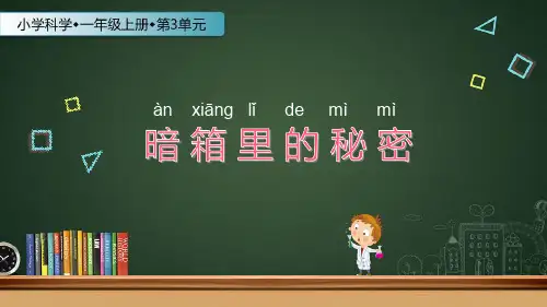 一年级上册科学课件- 《暗箱里的秘密》｜苏教版 (共15张PPT)