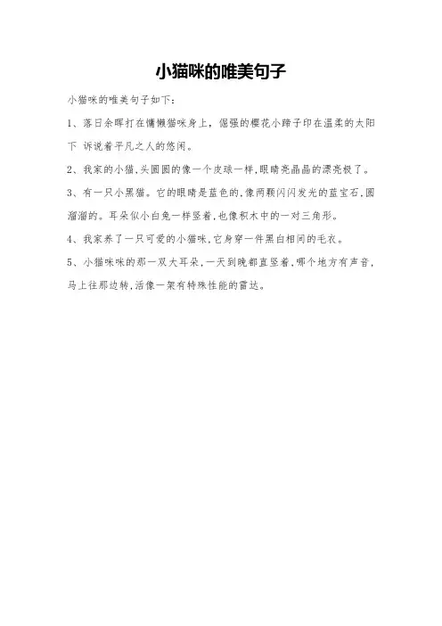 小猫咪的唯美句子