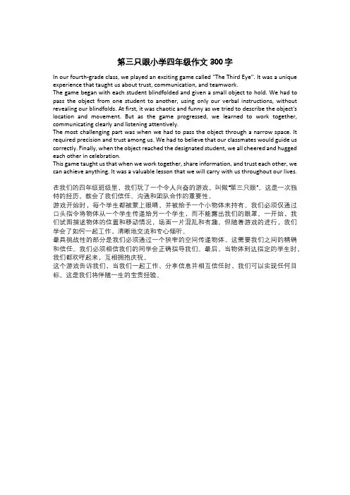 第三只眼小学四年级作文300字
