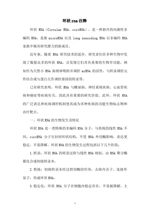 环状rna注释