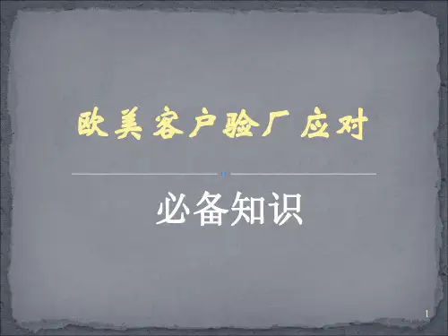 验厂之干部培训(ppt 52页)