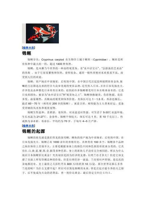 锦鲤全资料