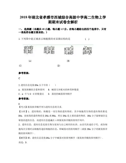 2018年湖北省孝感市西城综合高级中学高二生物上学期期末试卷含解析