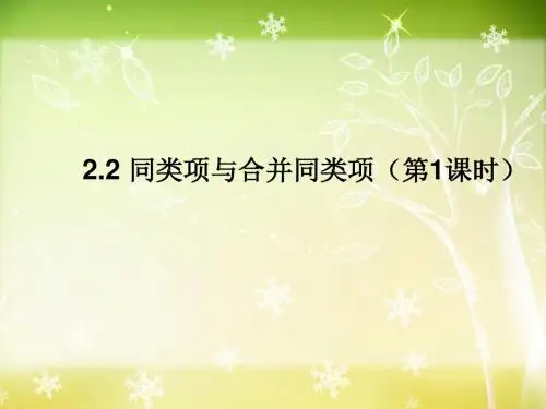 2.2同类项